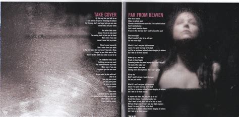 evanescence the bitter truth booklet